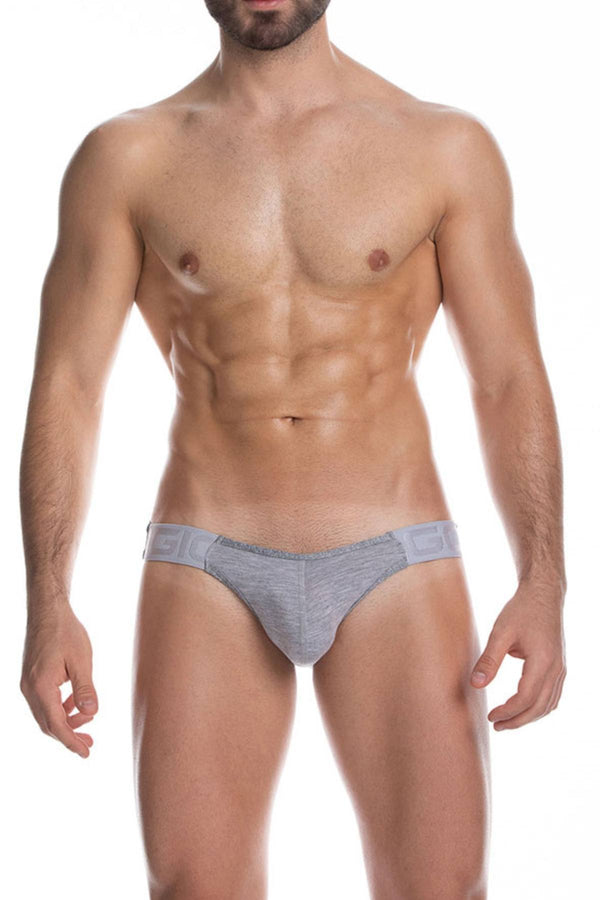Gigo Grey Cautious Bikini Brief