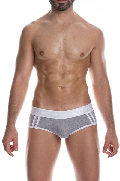 Gigo Grey Cautious Brief
