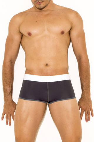 Gigo Grey Energy Trunk