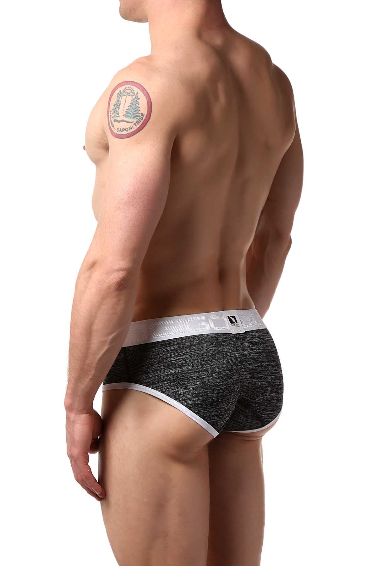 Gigo Grey Racing Brief
