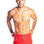 Gigo INSINUATING RED Mesh Shorts