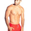 Gigo INSINUATING RED Mesh Shorts