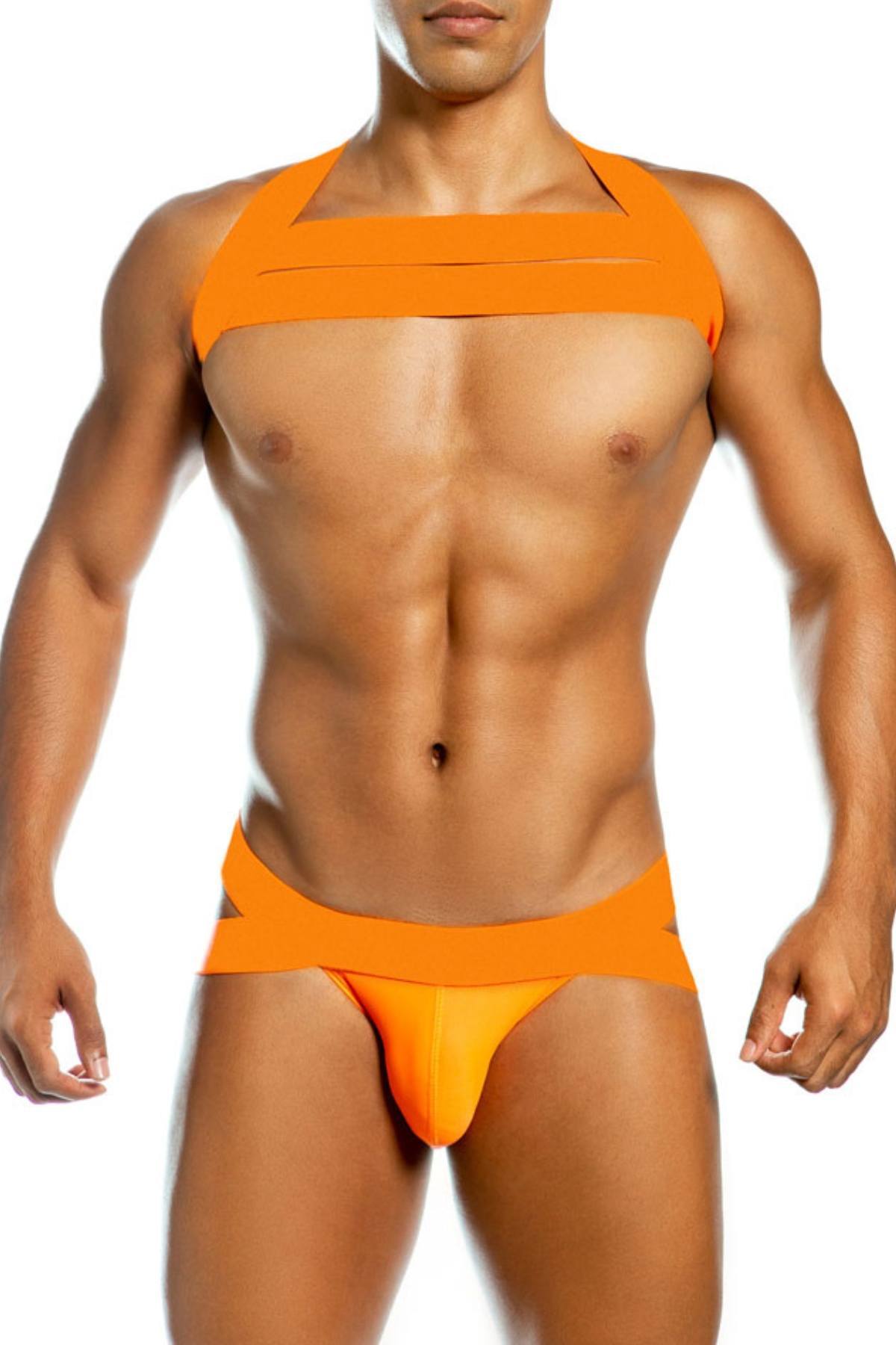 Gigo Orange Neon Harness