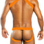 Gigo Orange Neon Harness