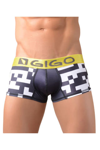 Gigo QR Trunk