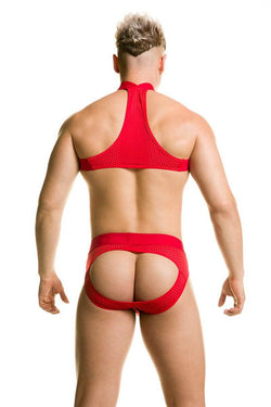 Gigo Red Nile Harness thumbnail 2