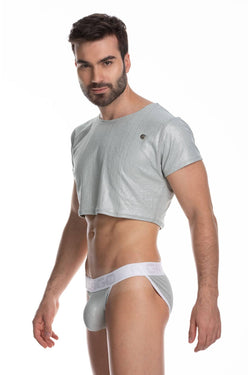 Gigo Silver Sheer Crop Top thumbnail 1