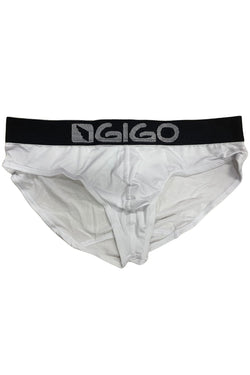 Gigo White Energy Brief thumbnail 4
