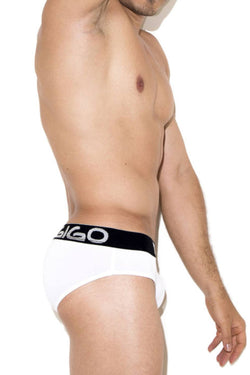 Gigo White Energy Brief thumbnail 2