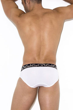 Gigo White Energy Brief thumbnail 3