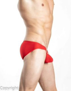 Gregg Homme Red Torridz Brief thumbnail 2