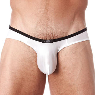 Gregg Homme White 100603 Brief