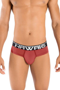 HAWAI Terracotta 41945 Solid Hip Brief thumbnail 1