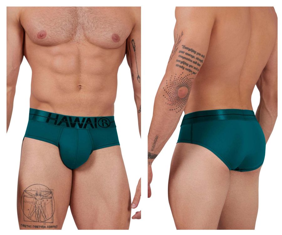 HAWAIR Men's Underwear 41963 Microfiber Briefs Color Green