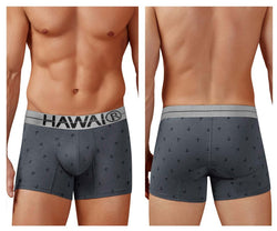 HAWAIR Men's Underwear 42521 Cotton blend Trunks Color Gray thumbnail 1