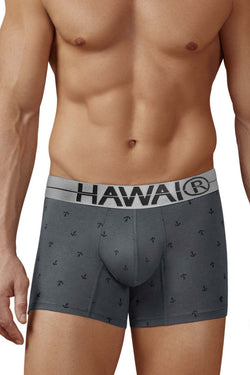 HAWAIR Men's Underwear 42521 Cotton blend Trunks Color Gray thumbnail 2