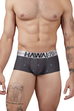 HAWAIR Men's Underwear 42530 Printed Microfiber Briefs Color Gray thumbnail 2
