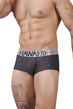 HAWAIR Men's Underwear 42530 Printed Microfiber Briefs Color Gray thumbnail 4