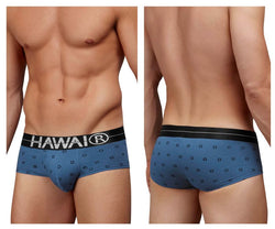 HAWAIR Men's Underwear 42531 Cotton blend Briefs Color Blue Quartz thumbnail 1