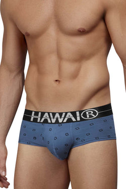 HAWAIR Men's Underwear 42531 Cotton blend Briefs Color Blue Quartz thumbnail 2