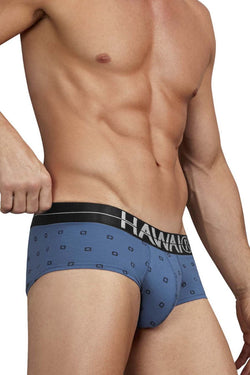 HAWAIR Men's Underwear 42531 Cotton blend Briefs Color Blue Quartz thumbnail 4