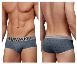 HAWAIR Men's Underwear 42531 Cotton blend Briefs Color Gray thumbnail 1