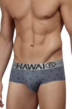 HAWAIR Men's Underwear 42531 Cotton blend Briefs Color Gray thumbnail 2