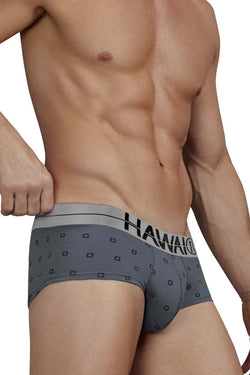 HAWAIR Men's Underwear 42531 Cotton blend Briefs Color Gray thumbnail 4