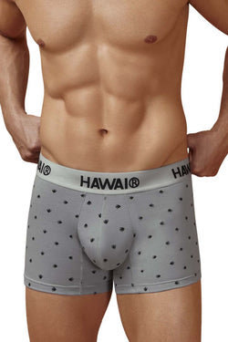 HAWAIR Men's Underwear 42571 Cotton blend Trunks Color Gray thumbnail 2