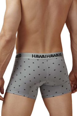HAWAIR Men's Underwear 42571 Cotton blend Trunks Color Gray thumbnail 3
