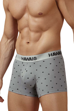 HAWAIR Men's Underwear 42571 Cotton blend Trunks Color Gray thumbnail 4