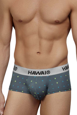 HAWAIR Men's Underwear 42580 Microfiber Briefs Color Gray thumbnail 2