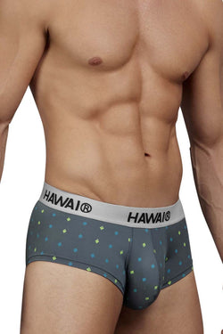 HAWAIR Men's Underwear 42580 Microfiber Briefs Color Gray thumbnail 4