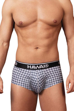 HAWAIR Men's Underwear 42430 Printed Briefs Color Gray thumbnail 2