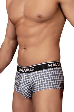 HAWAIR Men's Underwear 42430 Printed Briefs Color Gray thumbnail 4