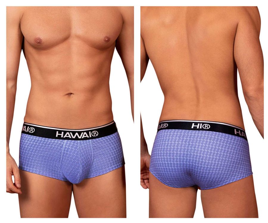 HAWAIR Men's Underwear 42431 Printed Briefs Color Blue