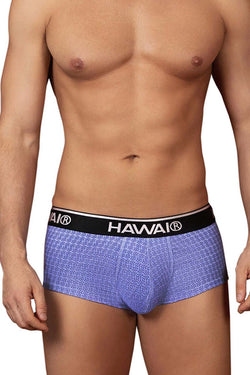 HAWAIR Men's Underwear 42431 Printed Briefs Color Blue thumbnail 2