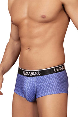 HAWAIR Men's Underwear 42431 Printed Briefs Color Blue thumbnail 4