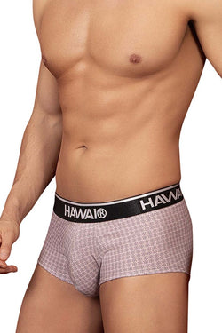 HAWAIR Men's Underwear 42431 Printed Briefs Color Cocoa thumbnail 4