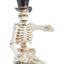 Holiday Lane Halloween Skull Wine Holder