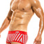 Modus Vivendi Red Marine Boxer
