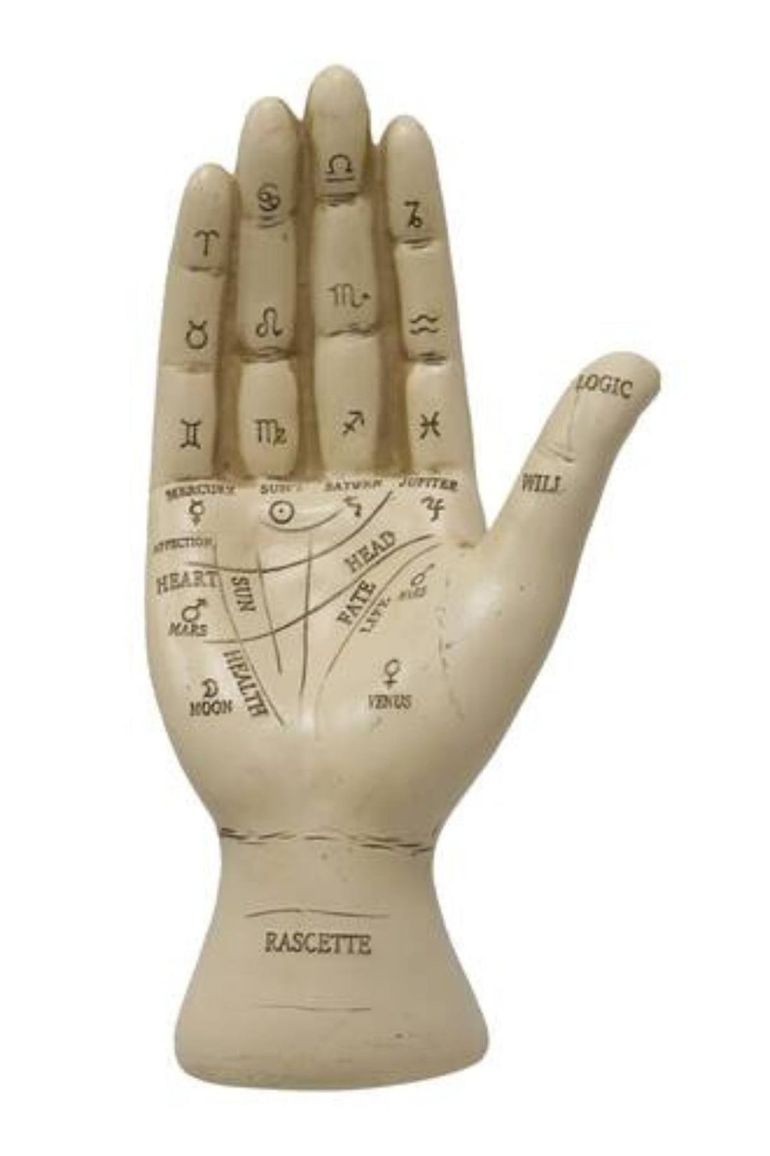 Palm Reader's Tabletop Hand – CheapUndies