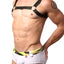Pikante Green Harness