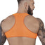 Pikante Orange Sonar Crop Top