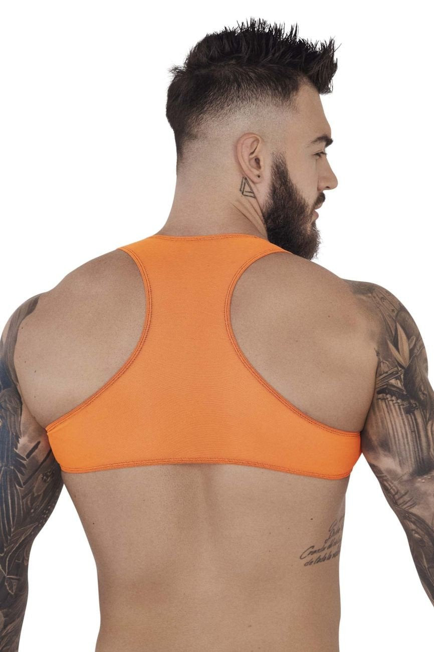 Pikante Orange Sonar Crop Top