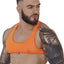 Pikante Orange Sonar Crop Top