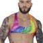 Pikante Rainbow Ultra Crop Top