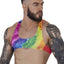 Pikante Rainbow Ultra Crop Top