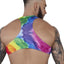 Pikante Rainbow Ultra Crop Top