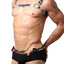 Pikante Silver Harness